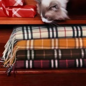 Cettire Multi海淘返利