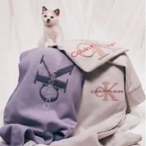 Calvin Klein, Inc.海淘返利