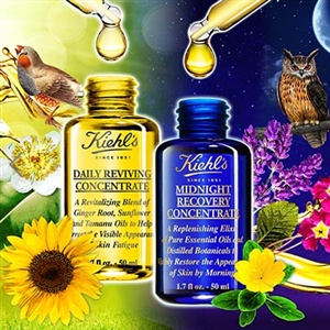 Kiehl's (科颜氏/契尔氏)海淘返利