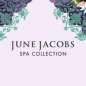 June Jacobs Spa Collection海淘返利