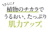 プラスホワイトローションTR 100mL プラスキレイ 【化粧水】