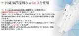 ドクターリセラ　スーパーホワイト エクストラ Super White EX 10ｇ（約10日間分）