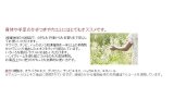 ハーティーハート スキンローション 120ml