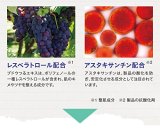 ハイドロキノン4%配合 プラスナノHQ2本 日焼け止めセット （お試し美容液 プラスピュアVC25ミニ付）