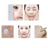 MIZON ミズオン ハーブ・シス・ディープ・シア・マリン・コラーゲン・アンプル 30ml (Hurb Sys Deep Sea Marine Collagen Ampoule) 海外直送品