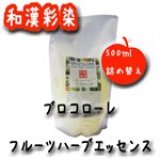日本グランデックス 和漢彩染 ブロコローレ フルーツハーブエッセンス 500ml 【ヘアトリートメント】【頭皮クレンジング】