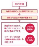 ジュネマリー ヒュマーノセラム