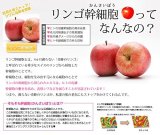 超音波美顔器専用ジェル 美ルルモイスチャージェル (ボトルタイプ)