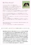 フラーレン ＥＧＦ ＦＧＦ 等 含有 最高級 美容液 ＰＡ セラミー ド エッセンス ＥＸ ６０ｍｌ ２本セット