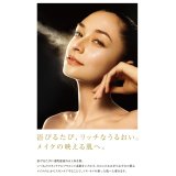 専用炭酸ガスカートリッジ ハンディ用 2本入り PL-HG2