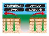 センハール ホウレイナイトパック