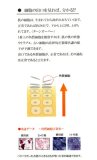 Re;babe　リベイブ 50ml 【赤丸印】