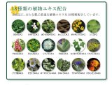 グリーンアクネ 薬用スキンミスト 250g  (医薬部外品)