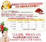 【お得な3本セット】★驚きの潤い・ハリ・弾力★　ローズヒップオイルAROMATICA(ワイルドローズの香り)　【ローズヒップ専門店プロヴァンスガーデン】