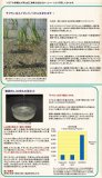 URUOI・SUI うるおいてん水 （化粧水） 200ml