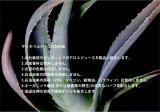 サンタベルデ フェイシャルトナー・クラッシック 100ｍｌ