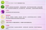 Mediheal メディヒール P.D.F AC ドレシング・アンプル・マスク 10枚入り (P.D.F AC-Dressing Ampoule Mask 25ml x 10sheet 1box) 海外直送品