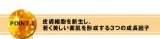 アメリカ政府認可米国財団法人「野口医学研究所」認定　最先端再生医療美容液　『極　-Kiwami-』　（Grouponにて2011年11月度売上No.1を記録）