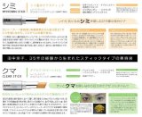 REYアースリング ホワイトニングスティック ≪シミ専用スティック≫