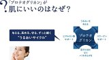 フラコラ リフテスト プロテオグリカン 原液 60ml(15ml×4個セット)