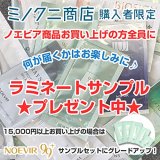 ノエビア トゥブラン 薬用ホワイトニングローション 160ml