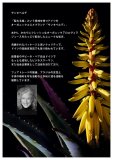 サンタベルデ フェイシャルトナー・クラッシック 100ｍｌ