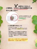Elizavecca エリザヴェッカ 炭酸バブル・毛穴クレンジング・クレイ・パック 100g (carbonate bubble Clay Mask) 海外直送品
