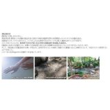 東洋炭酸研究所 シャンパンミスト 70g(炭酸化粧水)