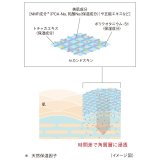 江原道 (コウゲンドウ) オリエンタルプランツ 五能ローション I ノーマル肌 300mL