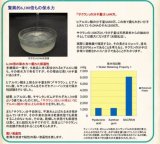 URUOI・SUI うるおいてん水 （美容液） 150ml