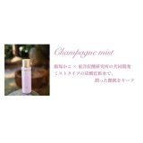 東洋炭酸研究所 シャンパンミスト 70g(炭酸化粧水)