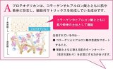 フラコラ リフテスト プロテオグリカン 原液 60ml(15ml×4個セット)
