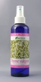 健草医学舎 ( KENSO ケンソー ) ハーブウォーター タイムブルガリスウォーター 200ml 10219 タイム・ブルガリス ウォーター