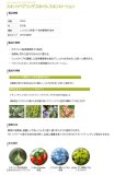 化粧水 エリシャコイ スキンリペアリングスネイルスキンローション 200ml 2個セット＋スネイルマスクを5枚おまけ付き