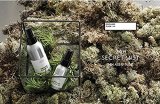 [グラウンド・プラン] 24Hour 秘密 スキンミスト Plus (60ml) Ground plan 24 Hour Secret Skin Mist Plus [海外直送品]