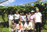 5年熟成スエばあちゃんのへちま水（容量100ml）【鹿児島県産の無農薬・有機栽培の完全無添加オーガニックヘチマ水100％(天然ヘチマ水)】【商品のラベルは、スエばあちゃんのへちま畑の写真です】 【ALCOS(アルコス) 】