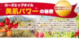 【お得な3本セット】★驚きの潤い・ハリ・弾力★　ローズヒップオイルAROMATICA(ワイルドローズの香り)　【ローズヒップ専門店プロヴァンスガーデン】