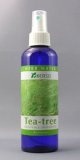 健草医学舎 ( KENSO ケンソー ) ハーブウォーター ティートゥリーウォーター 200ml 10203 ティートゥリー ウォーター
