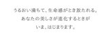 アルビオン　エクサージュ　モイストフル ローション I (200ml)*