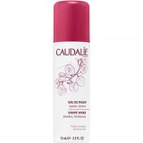 [コーダリー] ヴィノソース オードレザン　75ml　限定販売商品[海外直送品][CAUDALIE] VINOSOURCE EAU DE RAISIN 75ML EDITION LIMITE [並行輸入品]