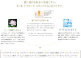プラセンタエキス配合 美容成分豊富 リベラータ モイスチャー エクセレント セラム