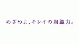 アルビオン　エクサージュ　モイストフル ローション I (200ml)*