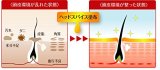 ヘッドスパイス 100ml