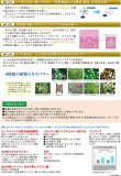 プラスレイ 化粧品 PlusRay フラーレスト エクストラ モイストローション フラーレン化粧水