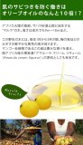 マルラオイル　25ml　100％ピュア　 (100％Pure) ( Marula Oil )( MARULA OIL) (植物オイル)