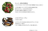 アルビオン　エクサージュ　モイストフル ローション I (200ml)*