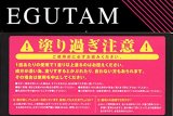 アルマダ まつ毛 美容液 2ml エグータム ARMADA EGUTAM