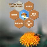 ベラマ オリエンタル アドバンスト トナー 50ml