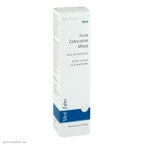 Dr. Hauschka 德国世家 纯天然复合牙膏 75ml（薄荷味）
