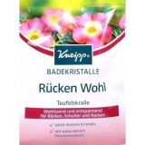 Kneipp 克奈圃 缓解背部酸痛沐浴盐 60g